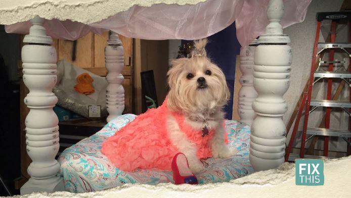 Diy princess dog clearance bed